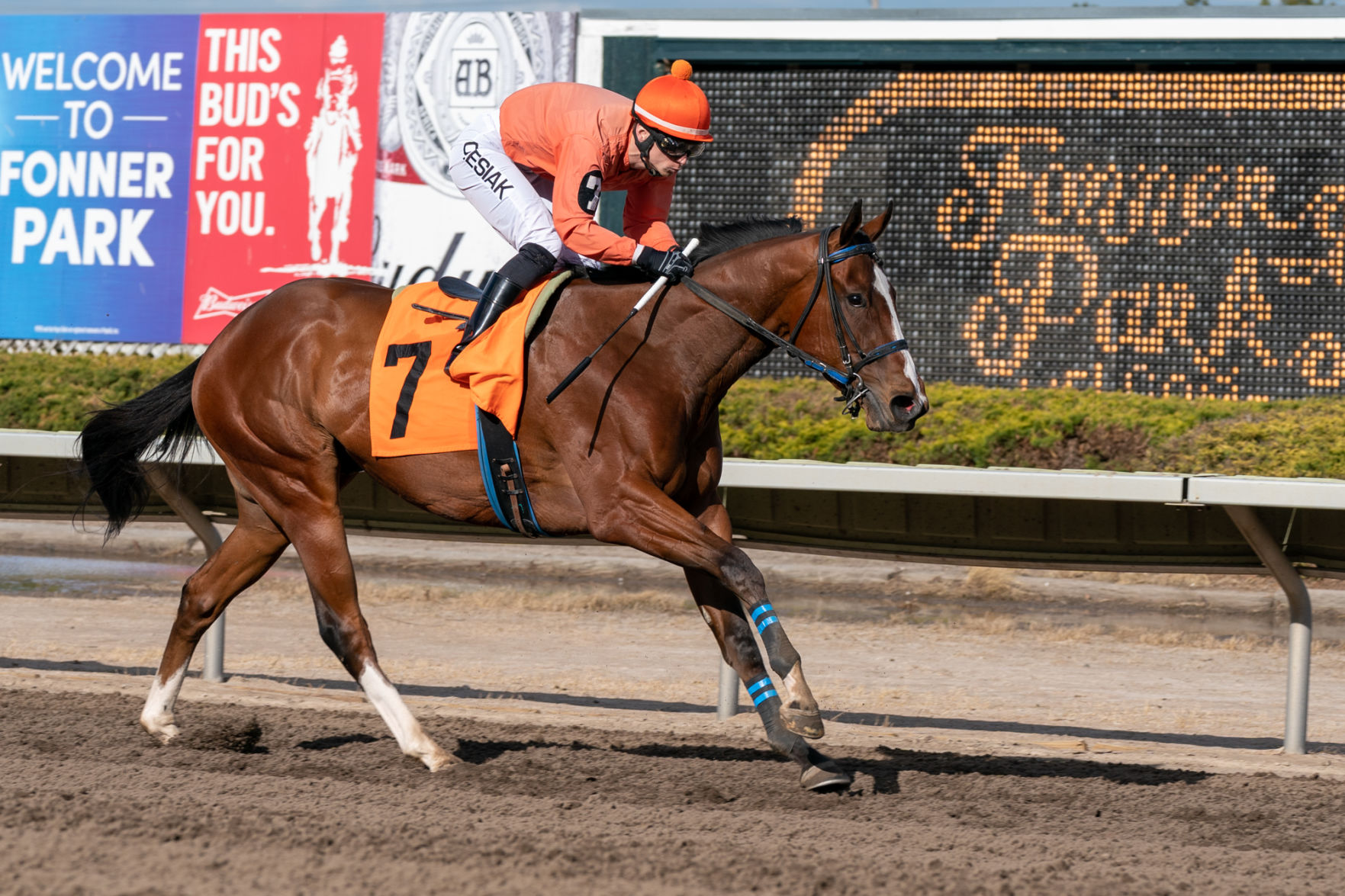 04202020_Fonner_Park_65th_Special_Stakes_EC_002.jpg